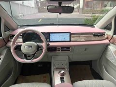 Geely Geometry E Firefly 401KM Super Eye-Catching Special Edition 5-Seater - ფოტო 17