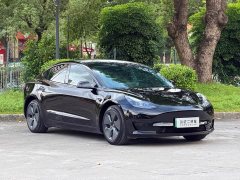Tesla Model 3 2022 Rear-Wheel Drive - ფოტო 3