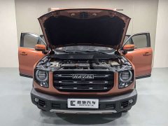 Great Wall Dachshund 1.5T DCT Two-Wheel Drive Malinois Edition - ფოტო 15