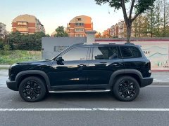 Great Wall Dachshund 1.5T DCT Border Collie Edition - ფოტო 17