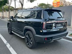 Great Wall Dachshund 1.5T DCT Border Collie Edition - ფოტო 19