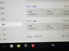 Tesla Model 3 Standard Range RWD Upgrade 3D6 - ფოტო 4