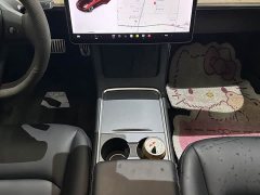 Tesla Model 3 Standard Range RWD Upgrade 3D6 - ფოტო 7