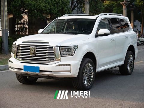 2023 Tank 500 3.0T Business Edition Landscape Version 5-Seater - ავტომობილი ჩინეთიდან