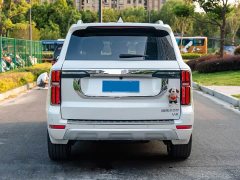 Tank 500 3.0T Business Edition Landscape Version 5-Seater - ფოტო 6