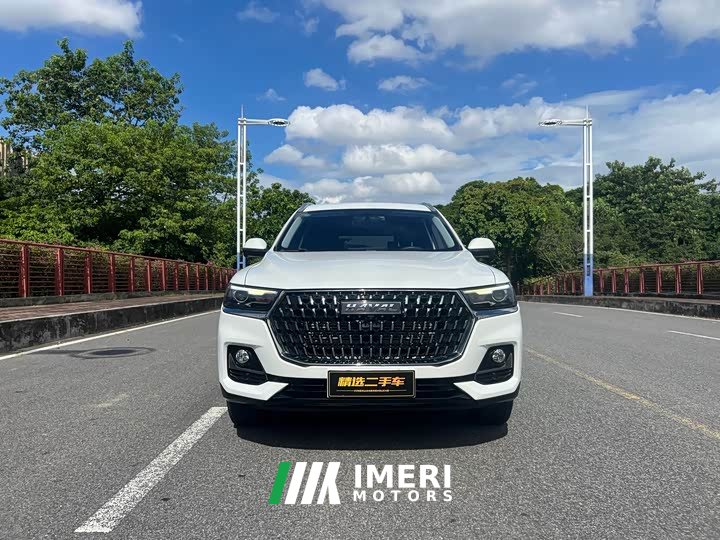 Haval H6 2023 National Trend Edition 1.5T Automatic Urban Version - ავტომობილი ჩინეთიდან