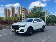 Haval H6 2023 National Trend Edition 1.5T Automatic Urban Version - ფოტო 2