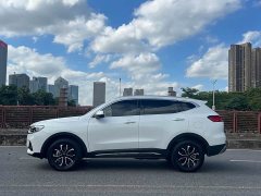Haval H6 2023 National Trend Edition 1.5T Automatic Urban Version - ფოტო 5