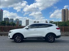 Haval H6 2023 National Trend Edition 1.5T Automatic Urban Version - ფოტო 7