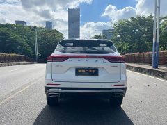 Haval H6 2023 National Trend Edition 1.5T Automatic Urban Version - ფოტო 8