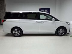 Buick GL8 ES Luxe Comfort - ფოტო 7