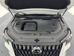 GAC Aion GS8 2022 Dual Engine 2.0T M Two-Wheel Drive Luxury Edition (7-Seater) - ფოტო 20