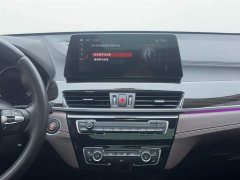 BMW X1 xDrive25Li Luxury - ფოტო 13