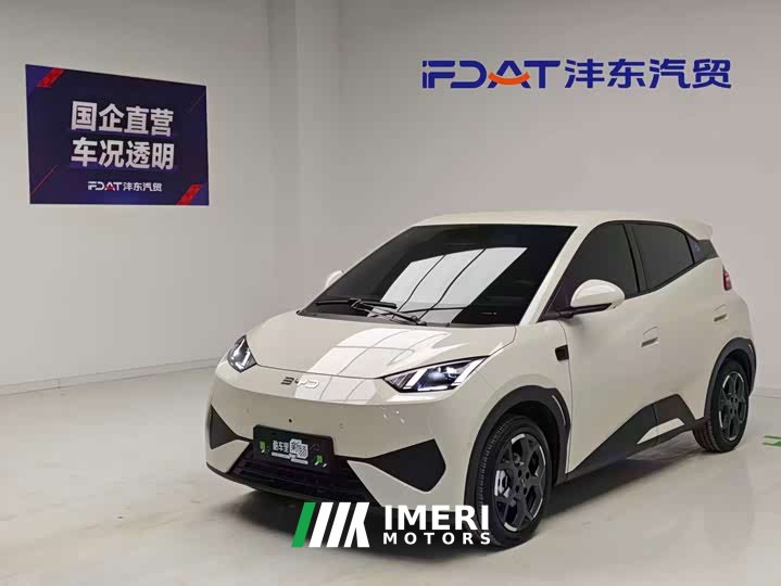 BYD Seagull 2025 Smart Driving Edition 305km Freedom Edition - ავტომობილი ჩინეთიდან