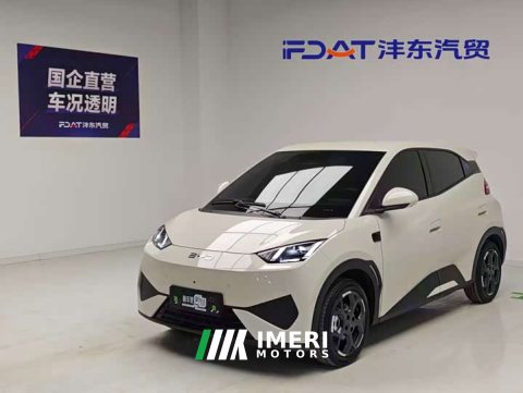 2026 BYD Seagull 2025 Smart Driving Edition 305km Freedom Edition - ავტომობილი ჩინეთიდან