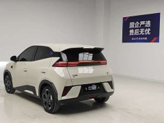 BYD Seagull 2025 Smart Driving Edition 305km Freedom Edition - ფოტო 6