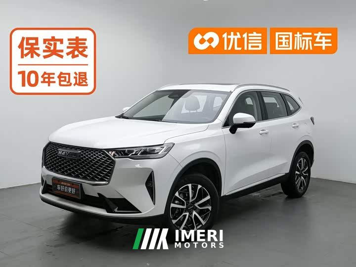 Haval H6 1.5T Two-Wheel Drive Classic Edition