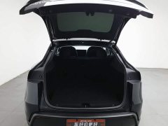 Tesla Model Y Rear-Wheel Drive - ფოტო 16