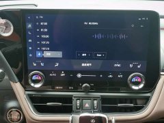 Lexus ES 300h Premium Edition - ფოტო 11