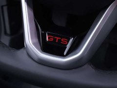 Volkswagen Lingdu L GTS 380TSI Lingfeng Million Anniversary Edition - ფოტო 13