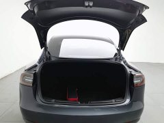 Tesla Model 3 Standard Range RWD Upgrade 3D6 - ფოტო 16