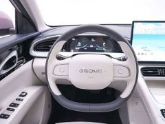 Geely Xing Yuan 310km Dream Edition - ფოტო 13