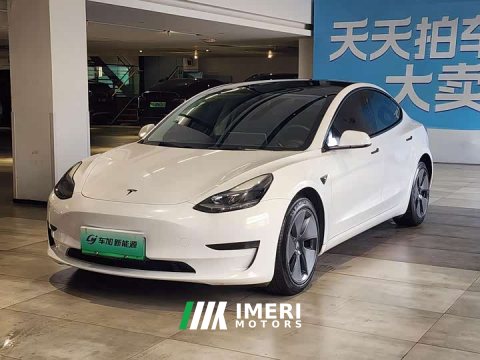 2023 Tesla Model 3 2022 Rear-Wheel Drive - ავტომობილი ჩინეთიდან