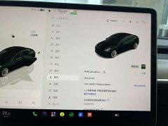 Tesla Model 3 Rear-Wheel Drive - ფოტო 19