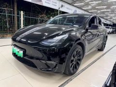 Tesla Model Y Long Range All-Wheel Drive - ფოტო 1