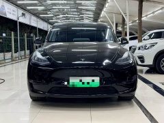 Tesla Model Y Long Range All-Wheel Drive - ფოტო 2