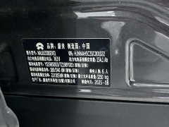NIO ES8 2026 Six-Seat Executive Luxury Edition - ფოტო 14