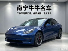 Tesla Model 3 Performance All-Wheel Drive - ფოტო 1