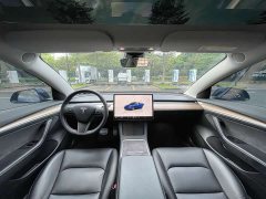 Tesla Model 3 Performance All-Wheel Drive - ფოტო 18