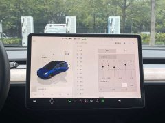 Tesla Model 3 Performance All-Wheel Drive - ფოტო 20
