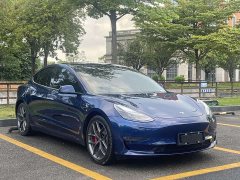 Tesla Model 3 Performance All-Wheel Drive - ფოტო 3
