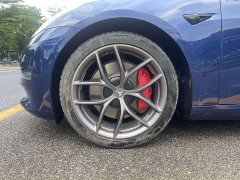 Tesla Model 3 Performance All-Wheel Drive - ფოტო 8