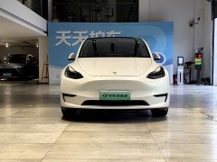 Tesla Model Y Long Range All-Wheel Drive - ფოტო 2