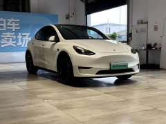 Tesla Model Y Long Range All-Wheel Drive - ფოტო 3