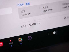 Tesla Model Y Rear-Wheel Drive - ფოტო 19
