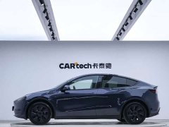 Tesla Model Y Rear-Wheel Drive - ფოტო 2