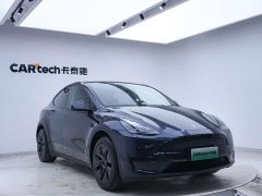 Tesla Model Y Rear-Wheel Drive - ფოტო 5