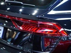 Audi RS Q8 RS Q8 4.0T - ფოტო 11