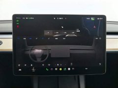 Tesla Model 3 2022 Rear-Wheel Drive - ფოტო 12