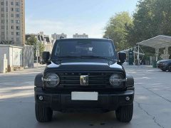 Tank 300 Off-Road Edition 2.0T Conqueror - ფოტო 2
