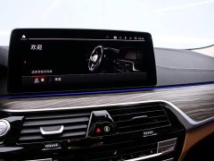 BMW 5 Series 530Li Premier Luxury Package - ფოტო 8