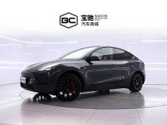Tesla Model Y 2025 Rear-Wheel Drive - ფოტო 1
