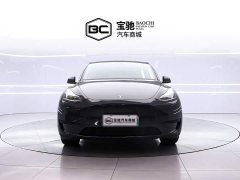 Tesla Model Y 2025 Rear-Wheel Drive - ფოტო 2