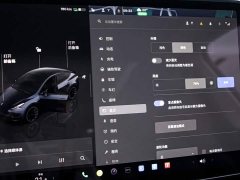 Tesla Model Y 2025 Rear-Wheel Drive - ფოტო 8