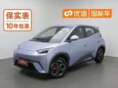 BYD Seagull 2025 305km Freedom Edition - ფოტო 1