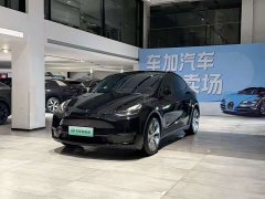 Tesla Model Y Long Range All-Wheel Drive - ფოტო 1